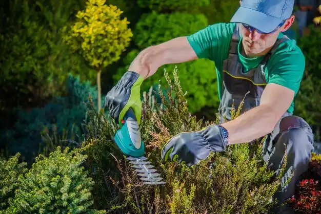 landscaping services Harbor Springs